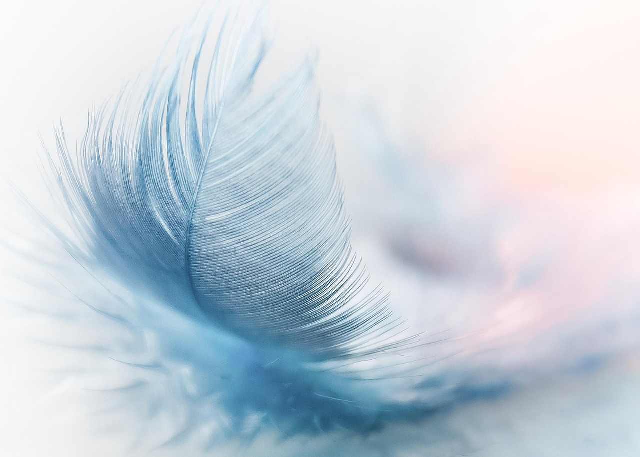 [u]